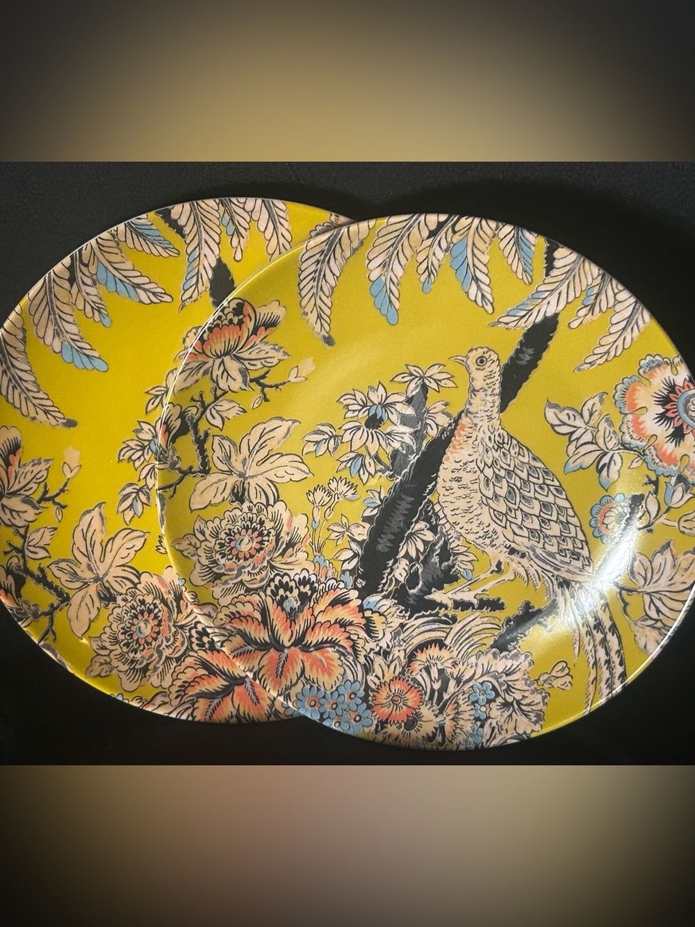 Two Tropical Toile Bird appetizer plates by Drew Barrymore Flower Home!